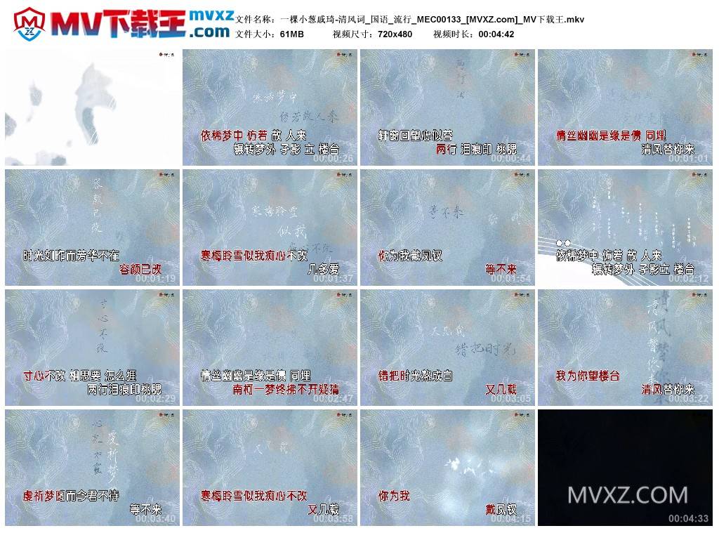 一棵小葱戚琦-清风词_国语_流行_MEC00133